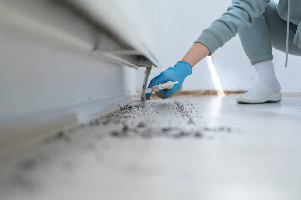 Best Pest Removal Services  in Brandywine, MD